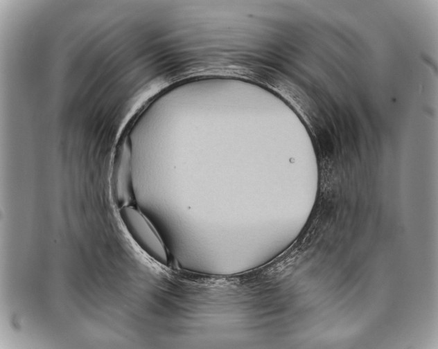 X0000097771139200803281634