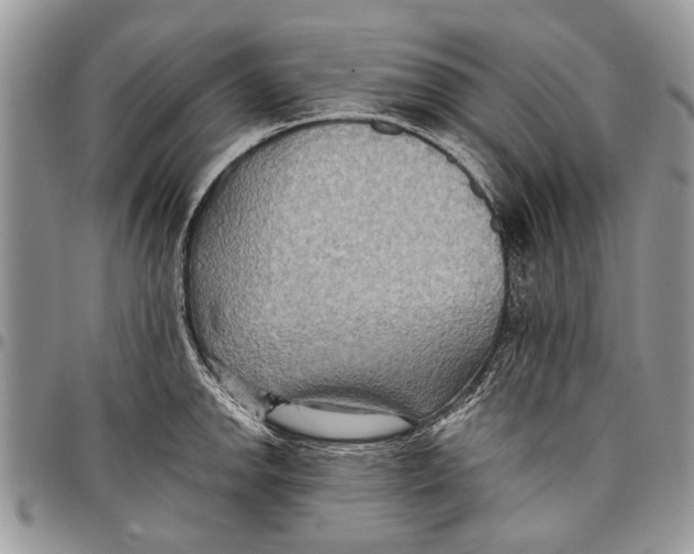 X0000097771142200803281634