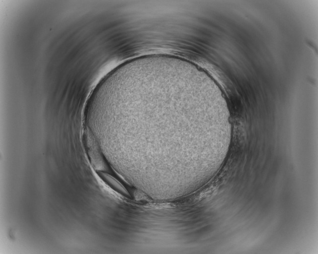 X0000097771143200803281634