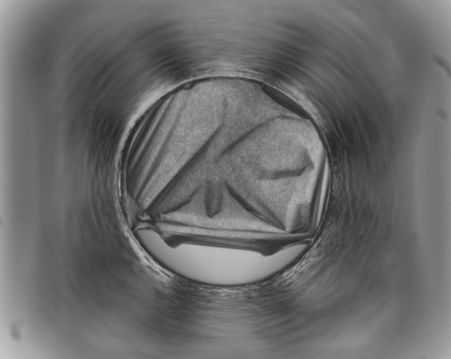 X0000097771144200803281634