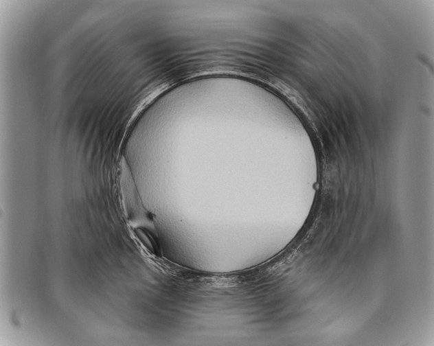 X0000097771145200803281634