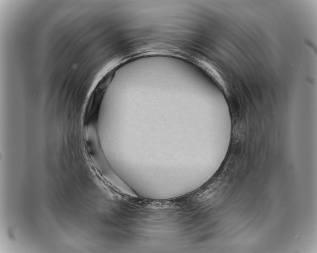 X0000097771146200803281634