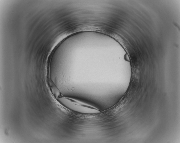 X0000097771147200803281634