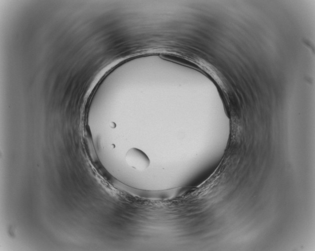 X0000097771148200803281634