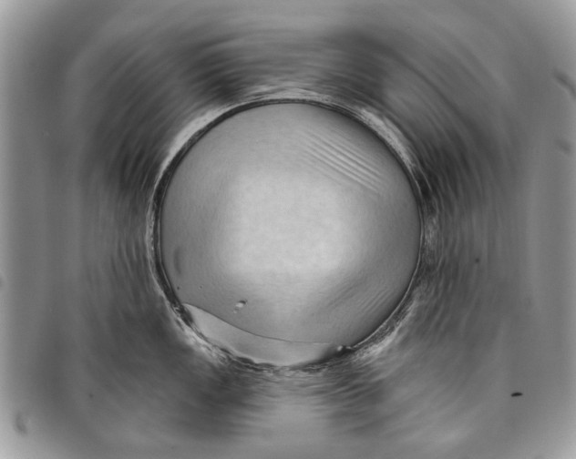 X0000097771149200803281634