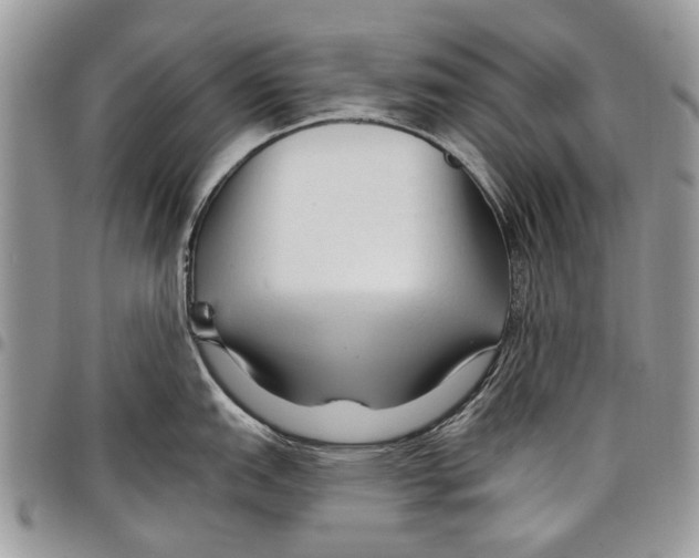 X0000097771151200803281634