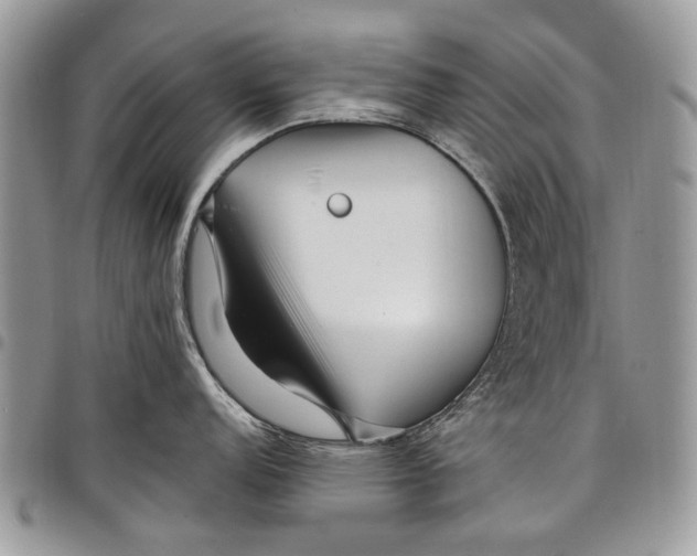 X0000097771152200803281634