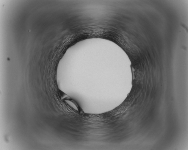 X0000097771153200803281634