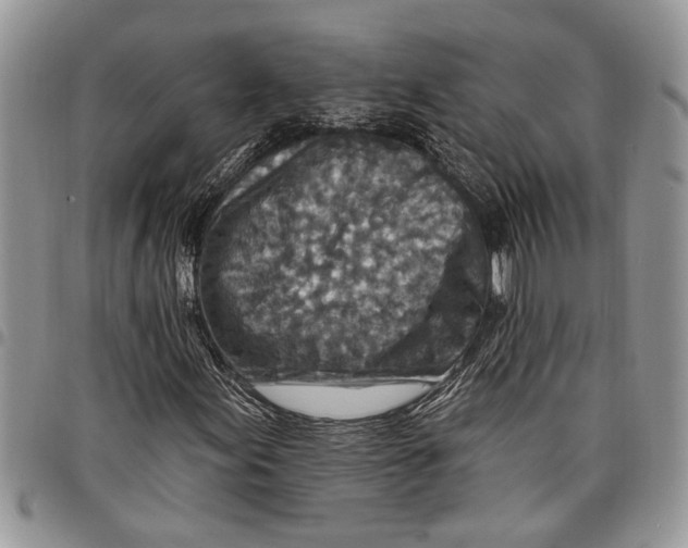 X0000097771155200803281634