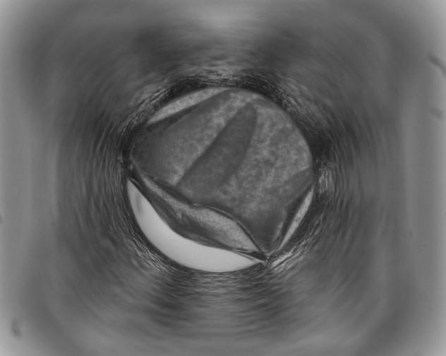 X0000097771156200803281634