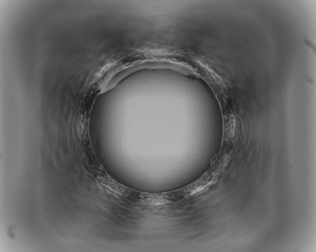 X0000097771157200803281634