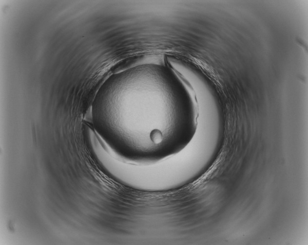 X0000097771161200803281633