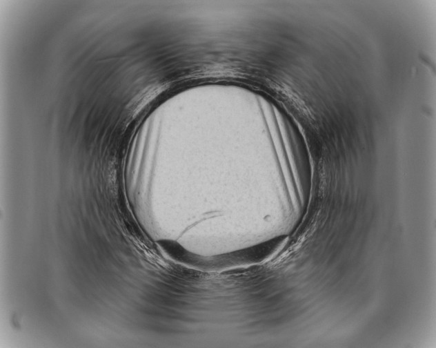 X0000097771162200803281633