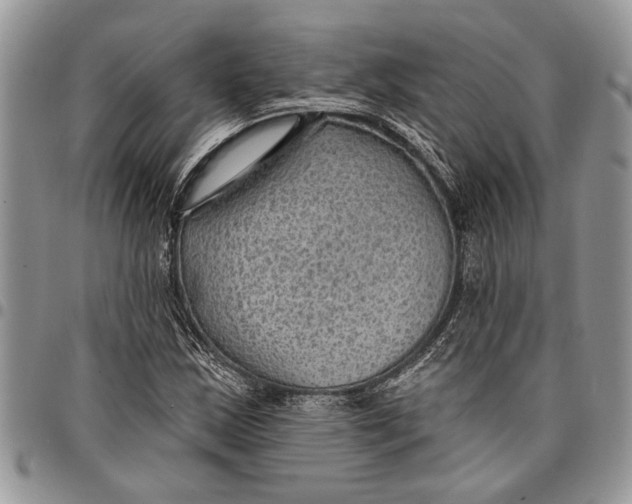 X0000097771163200803281633