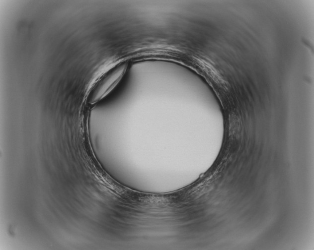 X0000097771164200803281633