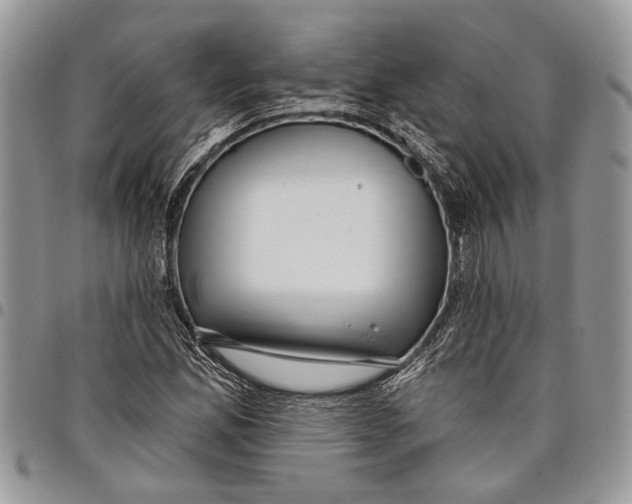 X0000097771165200803281633