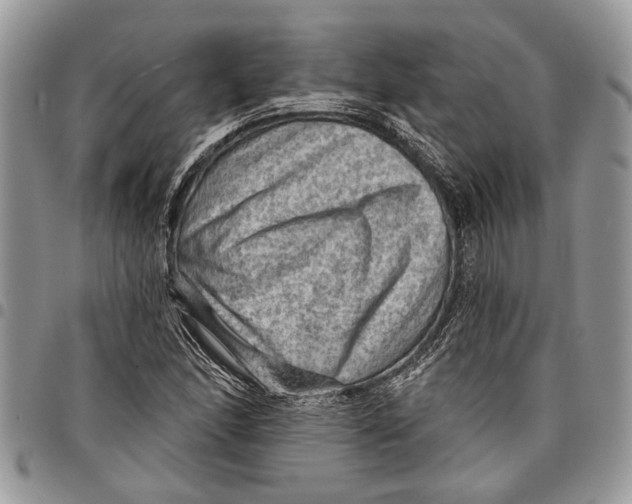 X0000097771166200803281633