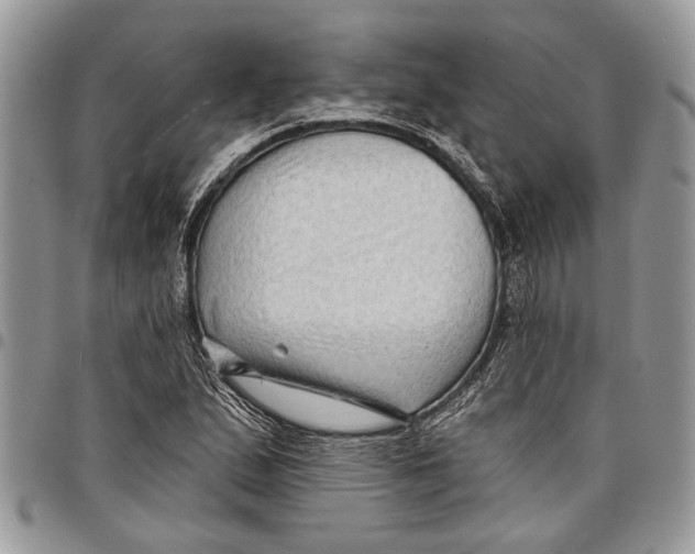 X0000097771167200803281633