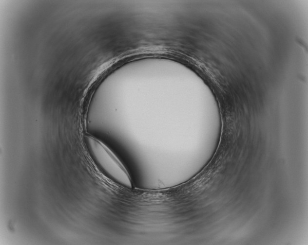 X0000097771168200803281633