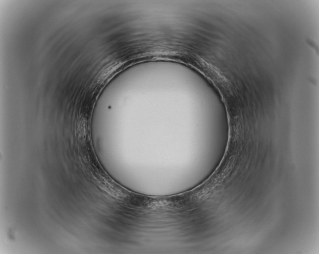 X0000097771169200803281633