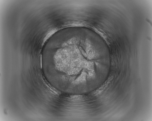 X0000097771171200803281633