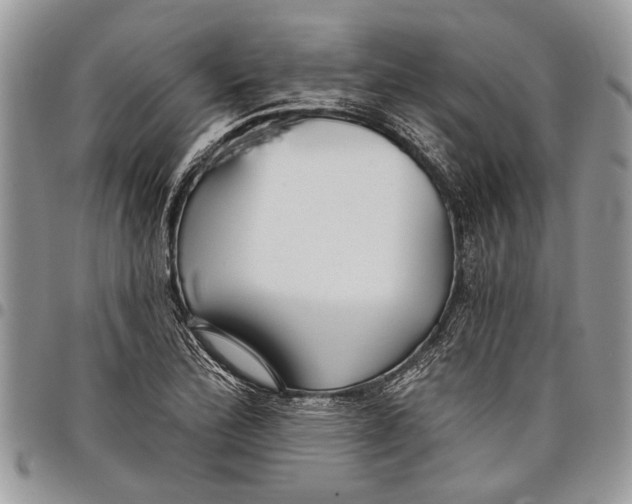 X0000097771172200803281633