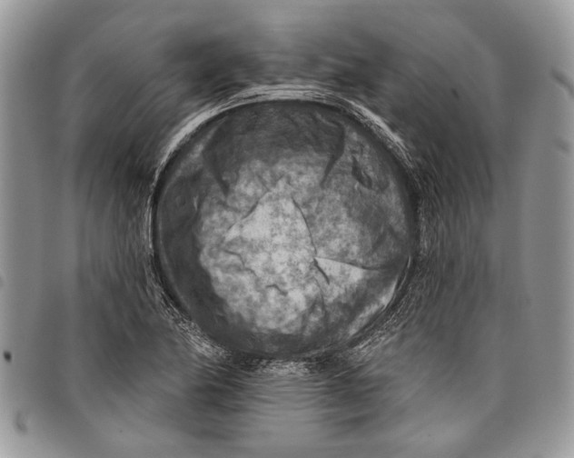 X0000097771174200803281633