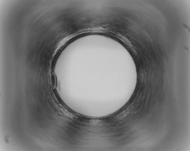 X0000097771176200803281633