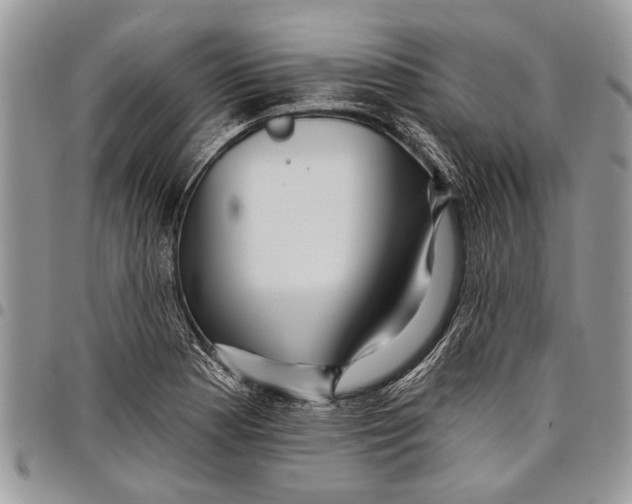 X0000097771177200803281633