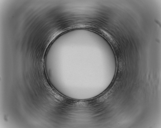 X0000097771178200803281633