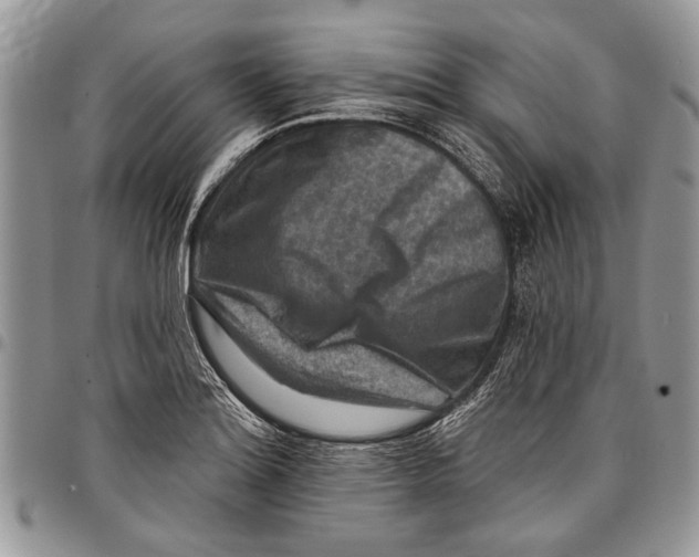 X0000097771180200803281633