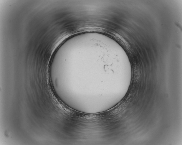 X0000097771182200803281633