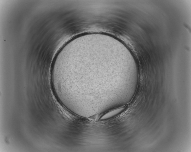 X0000097771183200803281633