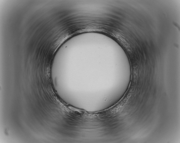 X0000097771185200803281633