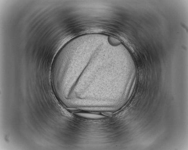 X0000097771186200803281633