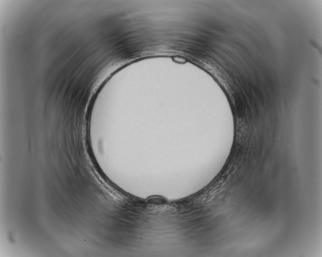 X0000097771187200803281633