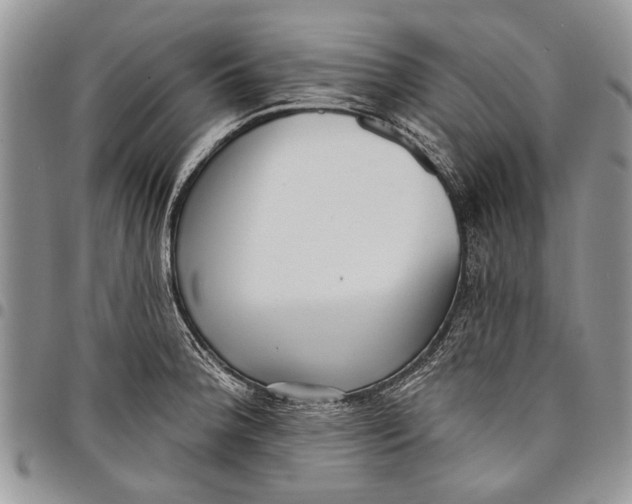 X0000097771188200803281633