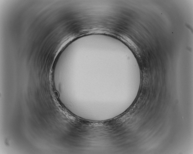 X0000097771190200803281633