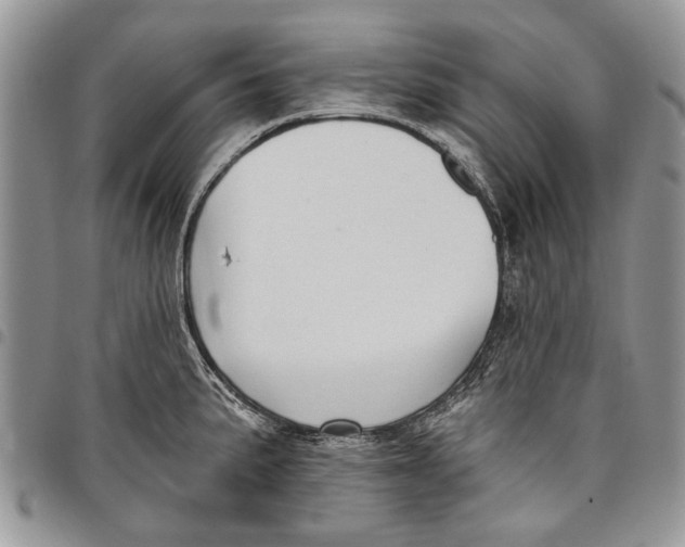 X0000097771191200803281633