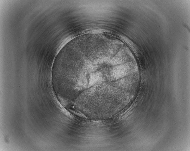 X0000097771194200803281633