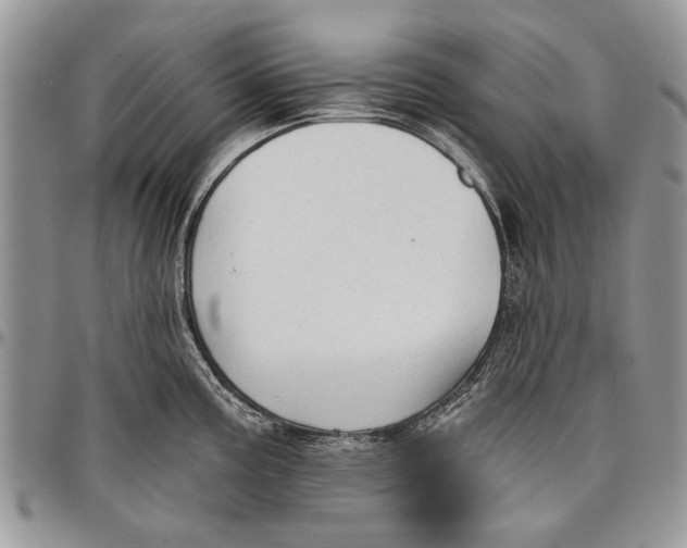 X0000097771195200803281633