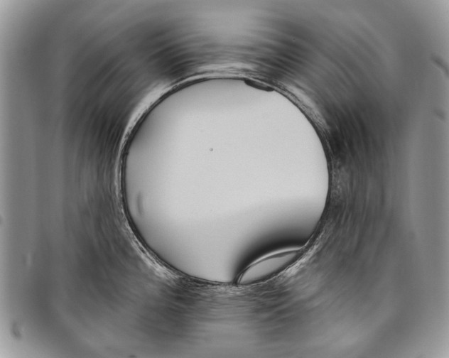 X0000097771196200803281633