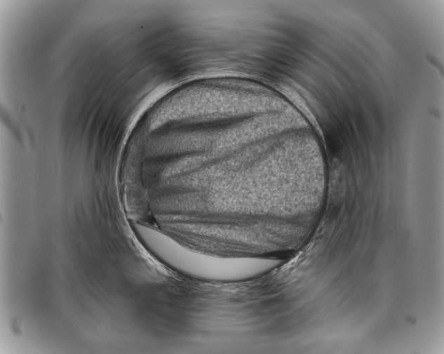 X0000097771197200803281633