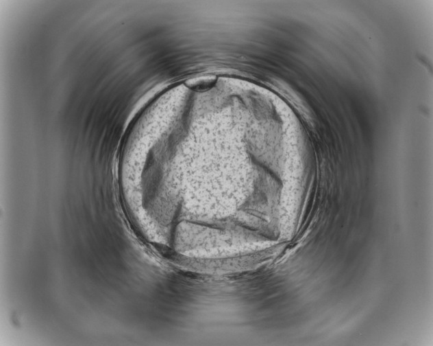 X0000097771198200803281633