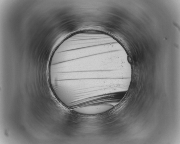 X0000097771199200803281633