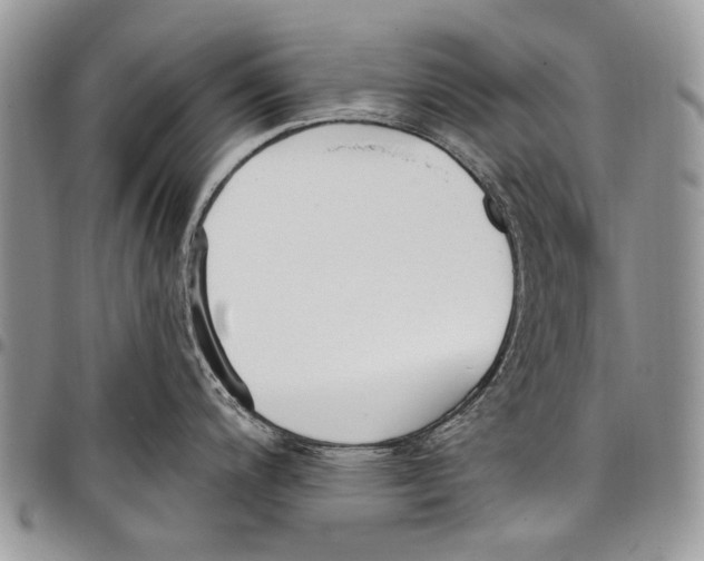 X0000097771200200803281633