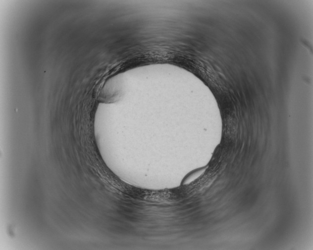 X0000097771201200803281632