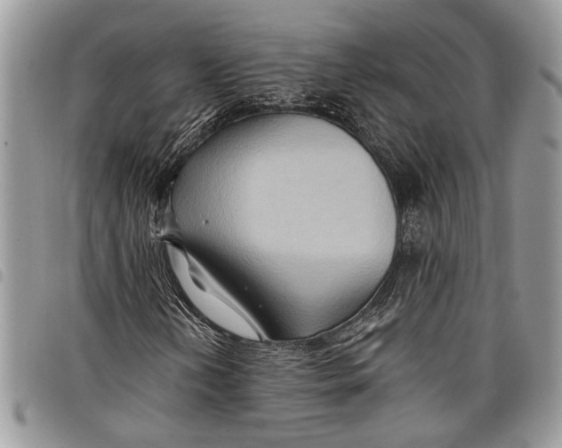 X0000097771202200803281632