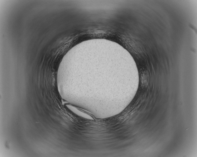 X0000097771204200803281632