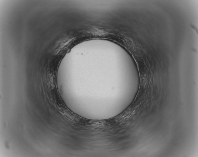 X0000097771205200803281632